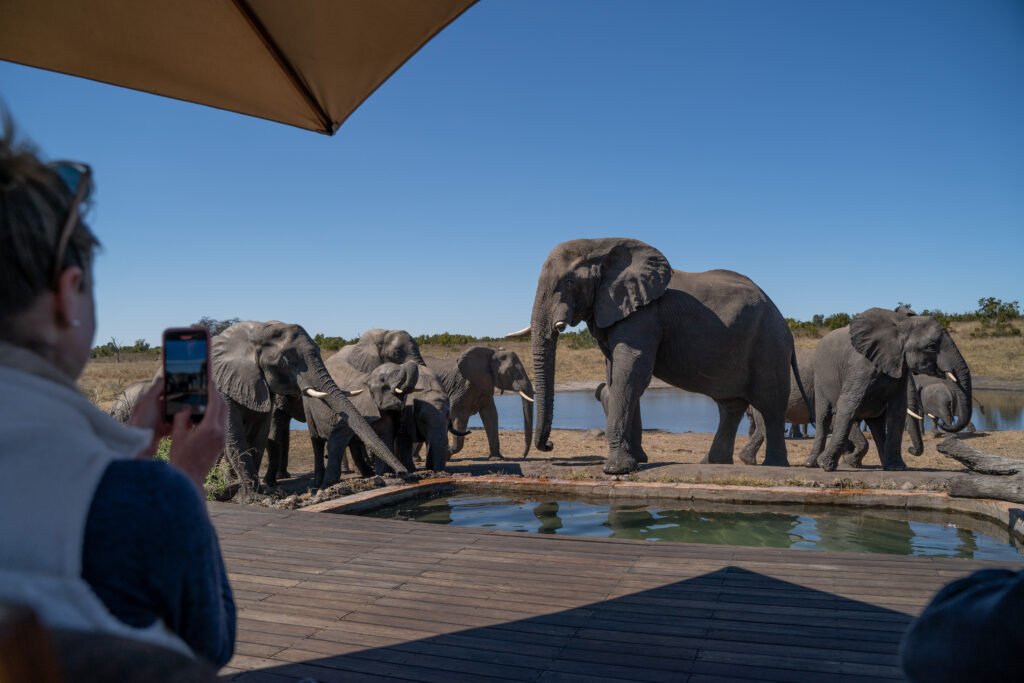 Hwange National Park