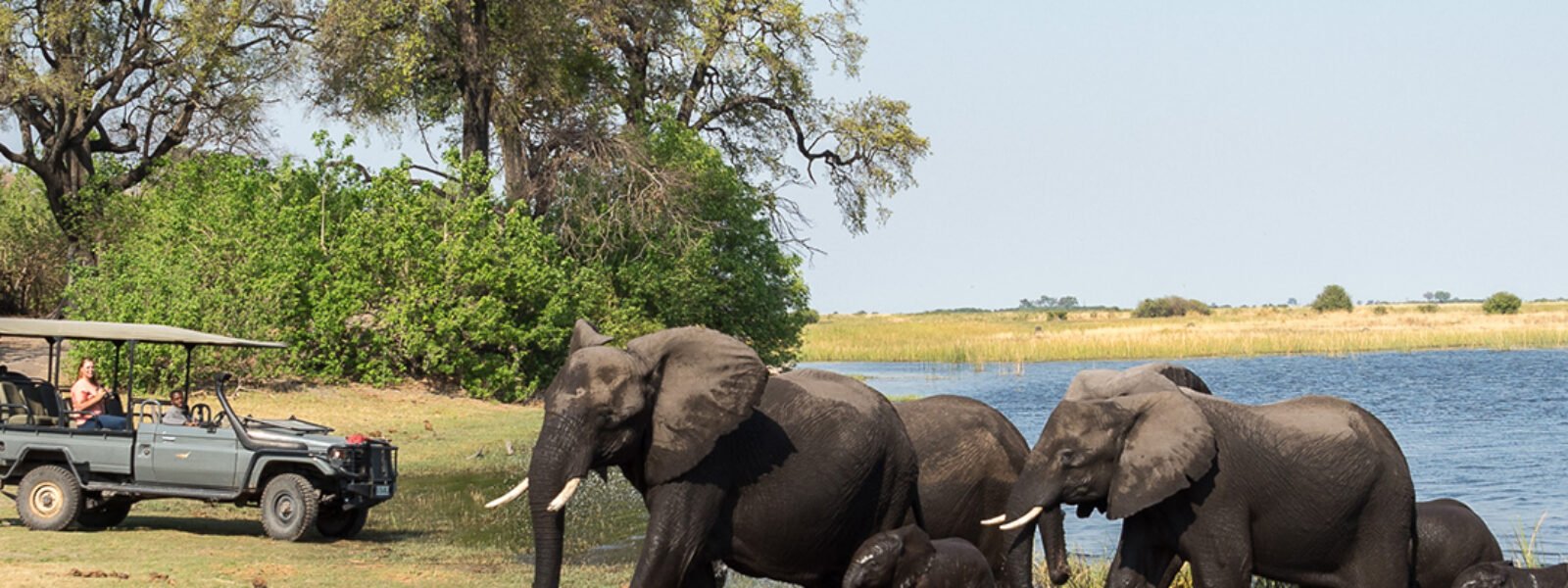 Chobe National Park