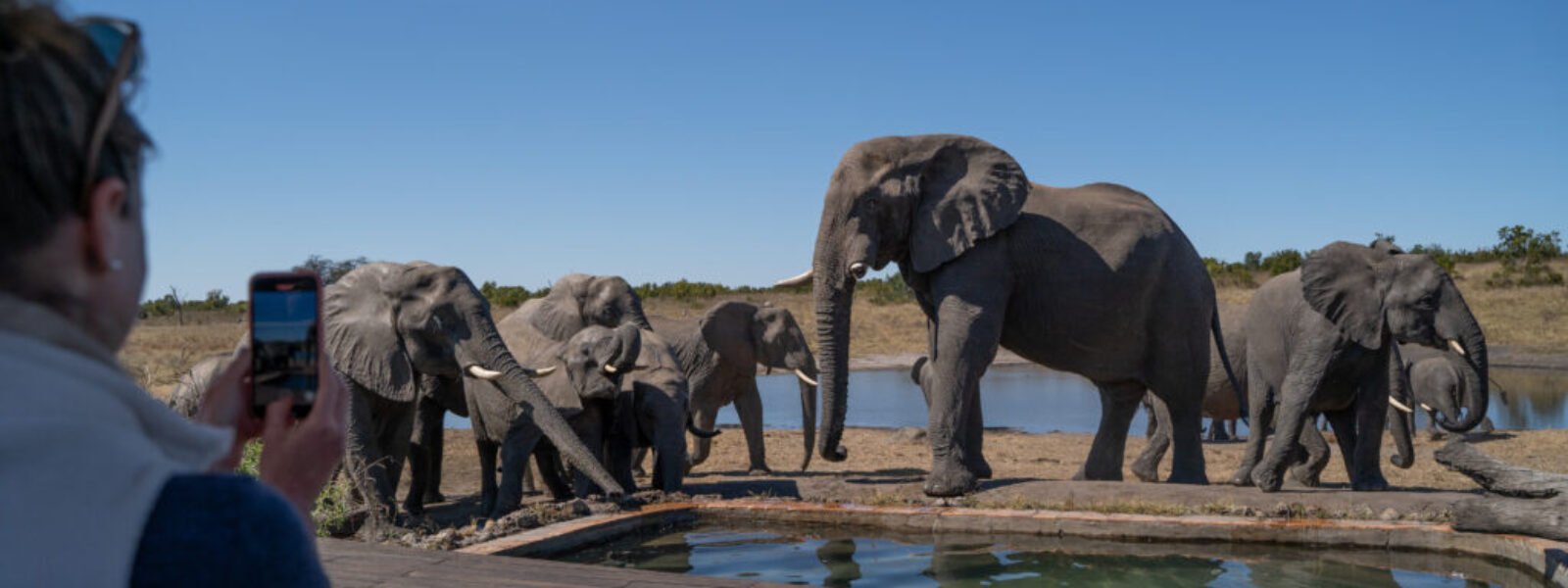 Hwange National Park