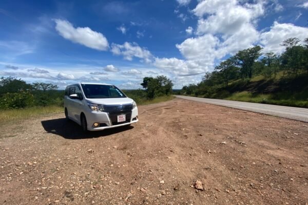 Livingstone Transfers