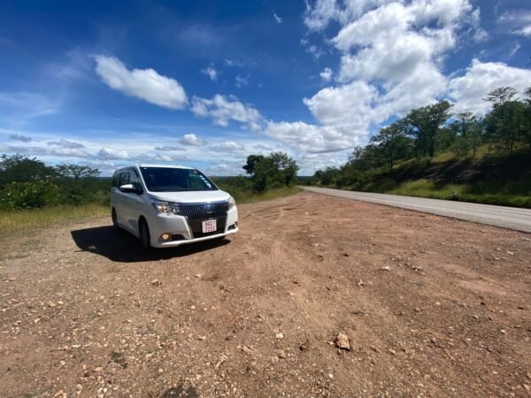 Livingstone Transfers