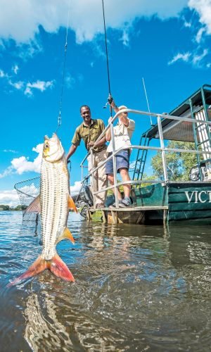 Fishing in Zambezi